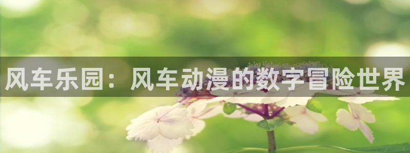 age动漫官方下载：风车乐园：风车动漫的数字冒险世界